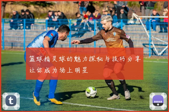 篮球精灵球的魅力探秘与技巧分享让你成为场上明星