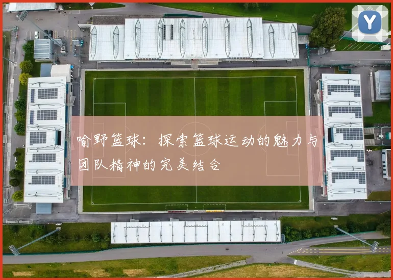 喻野篮球：探索篮球运动的魅力与团队精神的完美结合