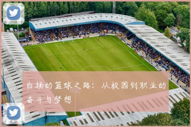 白杨的篮球之路：从校园到职业的奋斗与梦想
