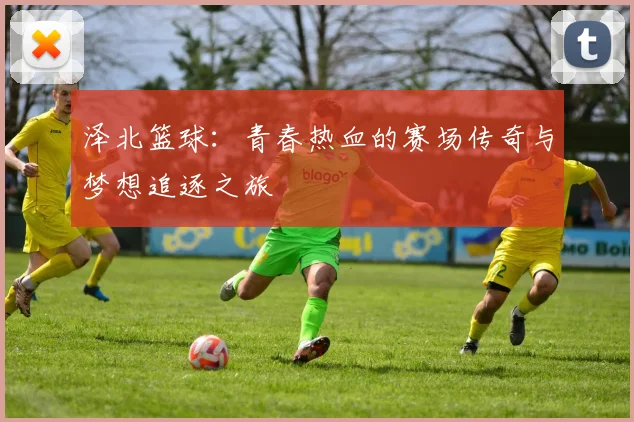 泽北篮球：青春热血的赛场传奇与梦想追逐之旅