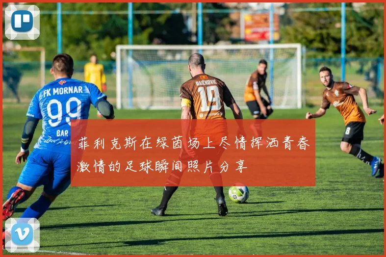 菲利克斯在绿茵场上尽情挥洒青春激情的足球瞬间照片分享