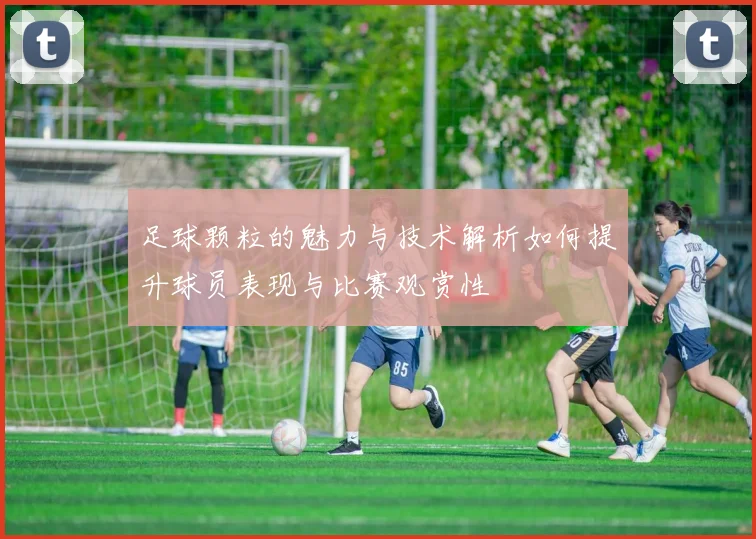 足球颗粒的魅力与技术解析如何提升球员表现与比赛观赏性