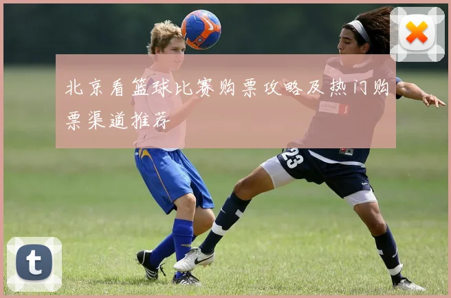 北京看篮球比赛购票攻略及热门购票渠道推荐