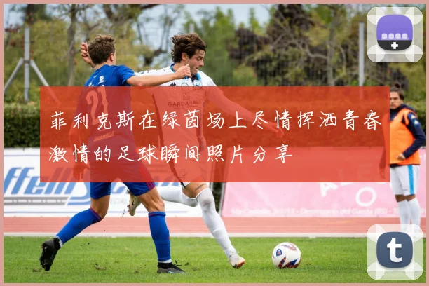 菲利克斯在绿茵场上尽情挥洒青春激情的足球瞬间照片分享